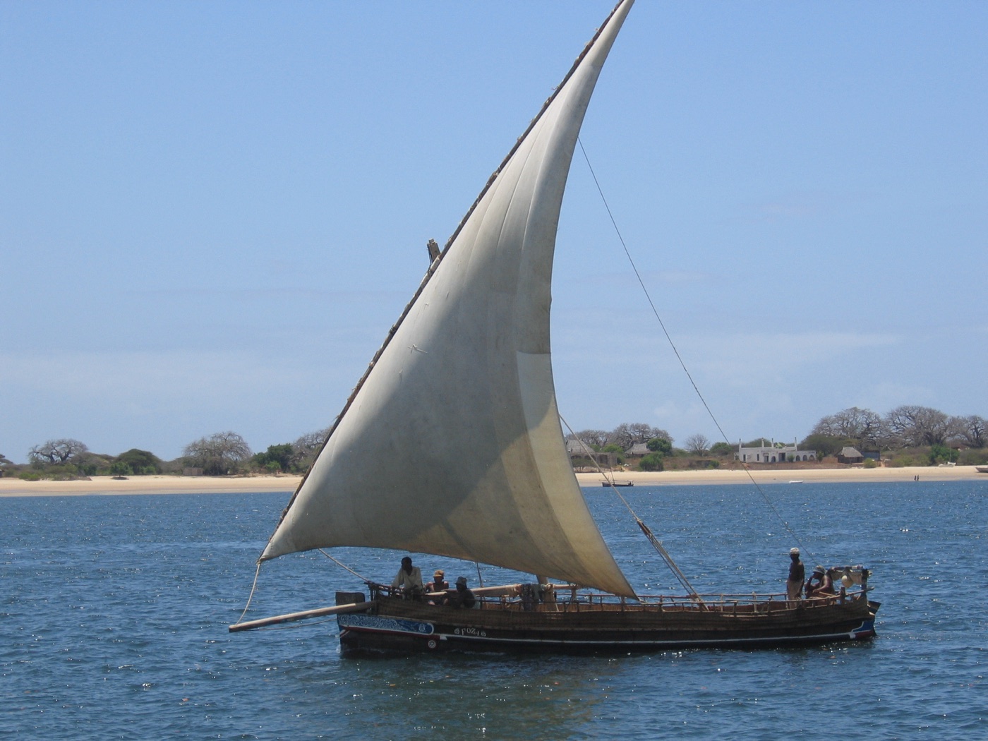 A traditional dhow sailing off Lamu, Kenya